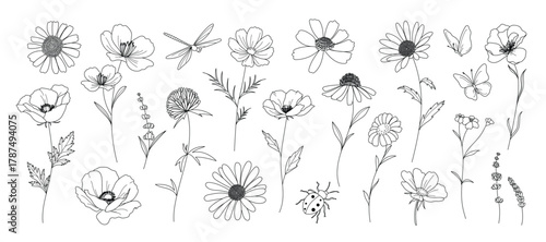 minimal line flower and botanical graphic sketch drawing, trendy tiny tattoo design, floral elements vector illustration