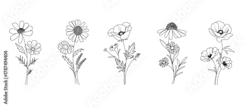 minimal line flower and botanical graphic sketch drawing, trendy tiny tattoo design, floral elements vector illustration
