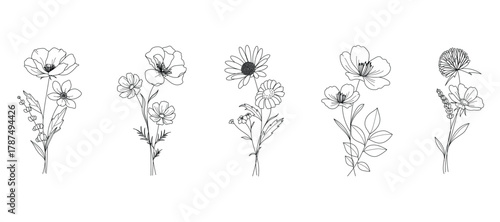 minimal line flower and botanical graphic sketch drawing, trendy tiny tattoo design, floral elements vector illustration