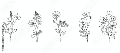 minimal line flower and botanical graphic sketch drawing, trendy tiny tattoo design, floral elements vector illustration