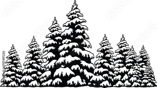 Cad drawing flat vector illustration of winter pine trees, snow forest landscape, Christmas season, black white outline, detailed nature design