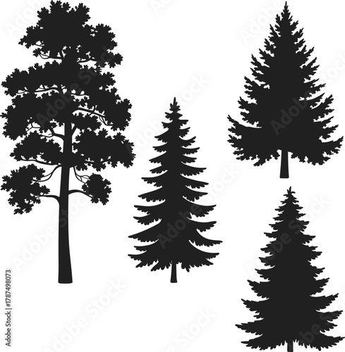 Coniferous tree silhouettes, pine, fir, spruce, evergreen forest illustration, botanical nature design, forestry landscape vector art, isolated shapes
