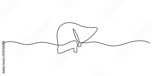 Human liver continuous one line drawing. Minimalist single line liver organ vector illustration
