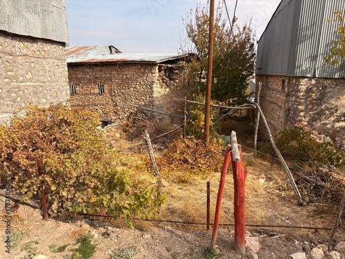 house in the garden