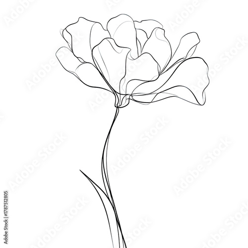 Artistic single line drawing of a beautiful flower with elegant petals.