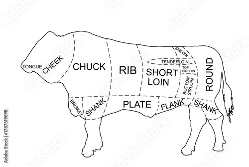 Bull beef parts butchery diagram vector silhouette illustration isolated. Domestic animal beef cuts line contour graphic chart. Chief cooking guide. Cattle butcher diagram. Body parts food cuisine.