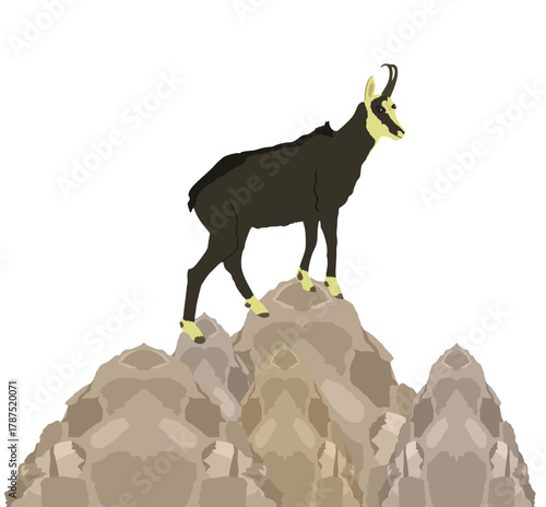 Goat on cliff chamois vector illustration isolated on background. Wild animal symbol. Goat in wildlife nature habitat Bighorn ram in wildlife. Rock climbing animal wildlife hiking zoo attraction.