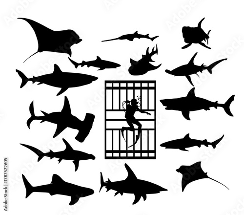 Diver in diving cage observing different types of sharks vector silhouette isolated. Swimming biology research. Explorer shark under water. Underwater marine wildlife. Help ocean beach swimmers.