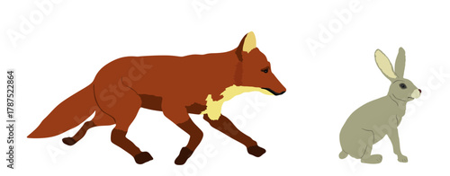 Cunning hunter fox lurks a rabbit vector illustration isolated. Smart animal predator chase rodent. Hungry fox hunting hare behind back. Forest wildlife food chain danger. Sneaking in hunt for prey.