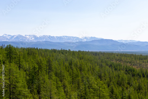 Russia, Magadan Region. Nature of Siberia and the Russian Far East. Taiga forest/
