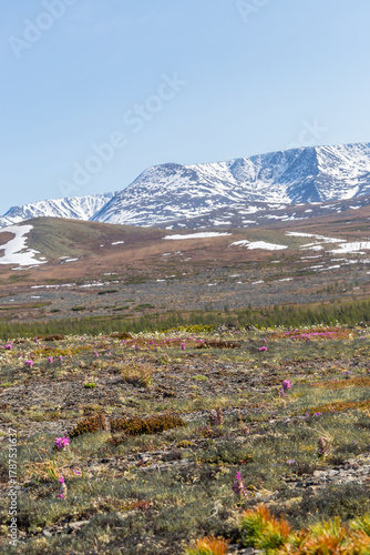 Russia, Magadan Region. Nature of Siberia and the Russian Far East. Plain and forest against the backdrop of mountains in the area of Lake Malyk