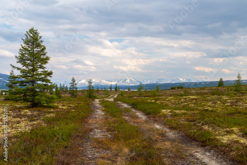 Russia, Magadan Region. Nature of Siberia and the Russian Far East. Unpaved road in the forest.