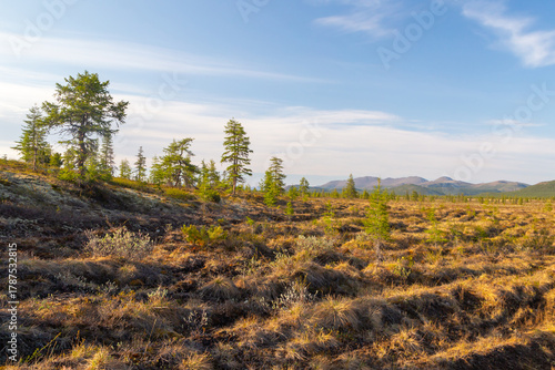 Russia, Magadan Region. Nature of Siberia and the Russian Far East. A marshy plain in the tundra against the backdrop of mountains