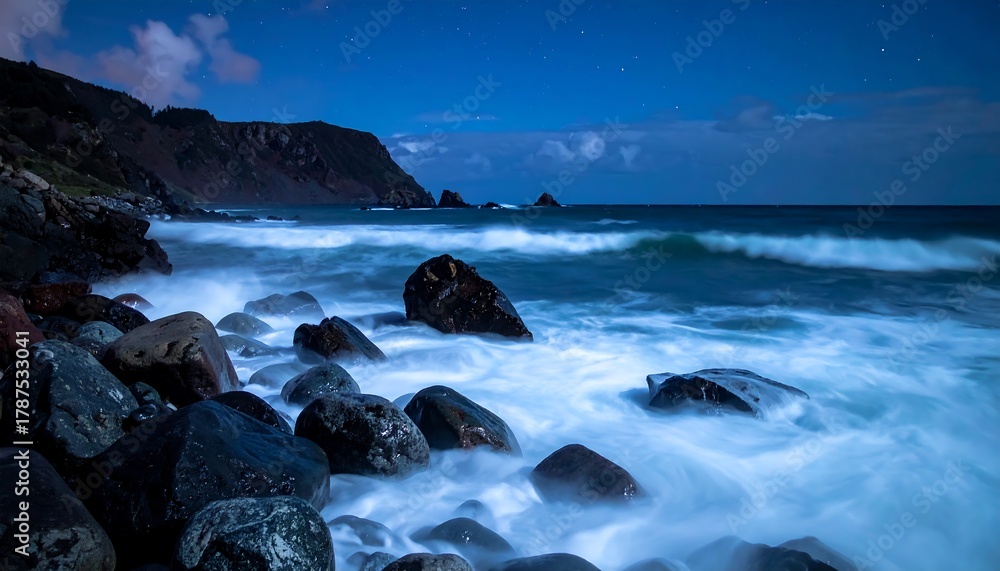 Obraz premium Rocky shore bathed in moonlight, with waves crashing against the rocks under a night sky dotted with stars