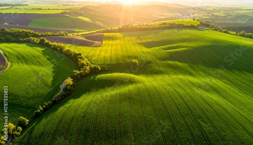 Rolling green hills under a bright sunset with tree lines creating divisions in the verdant agricultural land