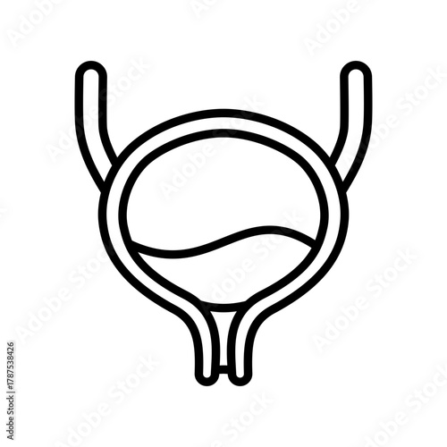 Urology Illustration: A black and white line art illustration of the human bladder, showcasing the intricate structure of the urinary system and the health aspects.