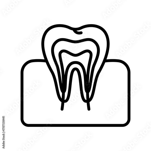 Dental Anatomy Diagram: A detailed illustration showcasing the internal structure of a single tooth, with precise lines revealing each layer and element.