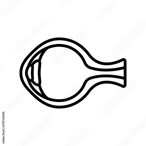 Eye Anatomy: A simplified outline of the human eye, with its key anatomical components meticulously rendered, offering a concise visual guide to the intricacies of the visual organ.