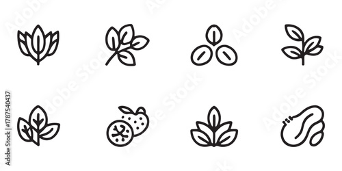 Natural Ingredient Icons With Leaves Seeds And Fruit collection leaf