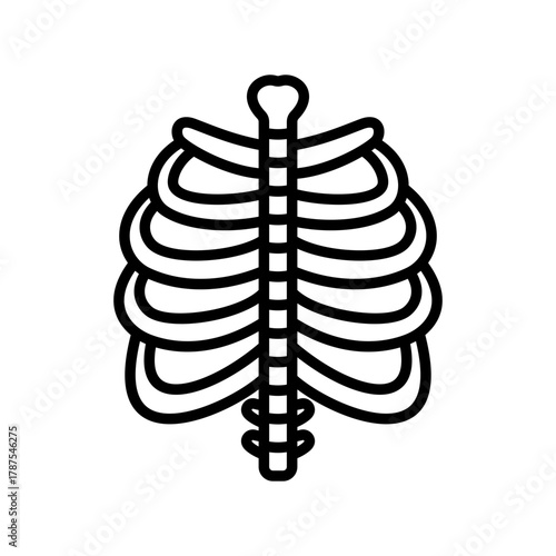 Rib Cage Schematic: An illustrative depiction of the human rib cage, showcasing the intricate framework of bones that protects the vital organs.