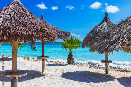 Fototapeta Naklejka Na Ścianę i Meble -  Beautiful view of hotel sandy beach with thatched umbrellas and single palm tree on background of Caribbean Sea. Aruba.