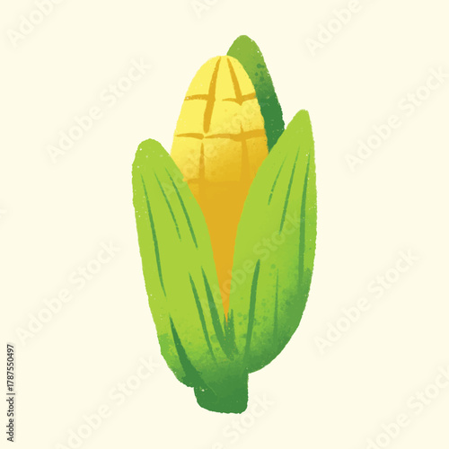 Watercolor IIlustration of an corn