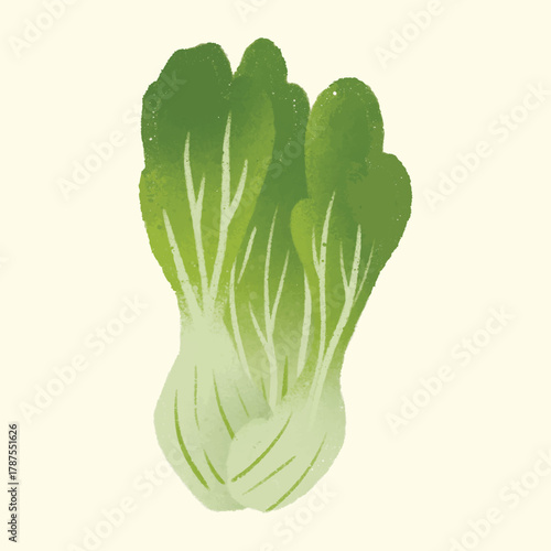 Watercolor IIlustration of an Bok Choy
