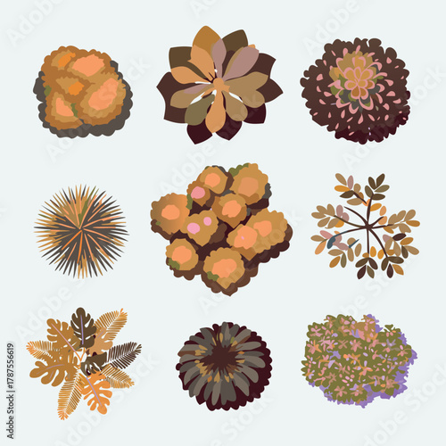 Ensemble de 9 Illustrations Silhouettes d'Arbres pour Plans de Jardins et Architecture, Vue d'en Haut, Nature et Végétation Couleur d'Automne Vecteur