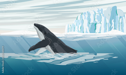 A humpback whale emerges from the water. Arctic with glaciers. Realistic vector landscape.