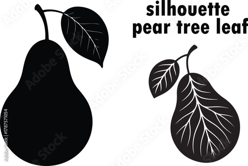 silhouette pear tree with leaves