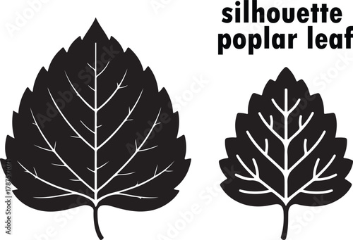 Vector tree and Poplar leaf silhouettes for nature design illustration and spring decoration