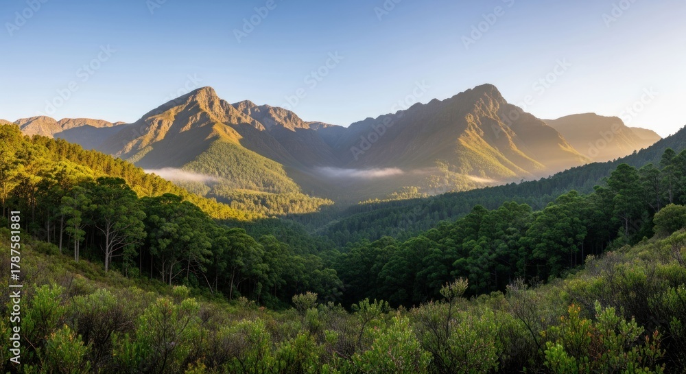 Fototapeta premium Mountain valley vista at dawn