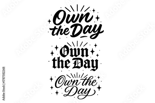 Calligraphy Variations Display. Own the Day. Create a calligraphy lettering illustration of the phrase: Own