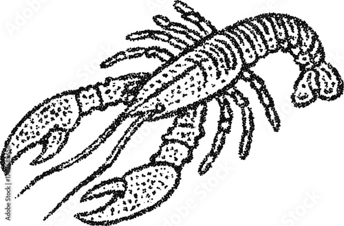Stipple vector lobster crustacean with claw, vintage seafood illustration for cuisine, menu and marine design