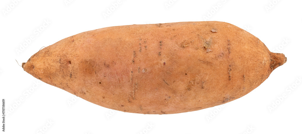 Fototapeta premium isolated whole raw sweet potato, fresh organic root vegetable for cooking, healthy natural food ingredient
