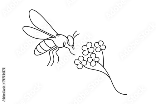 Hoverfly and Flowers. Nectar Gathering. Minimalistic one-line drawing hoverfly approaching small clustered