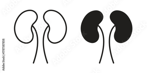 Kidney icon for web design, mobile apps