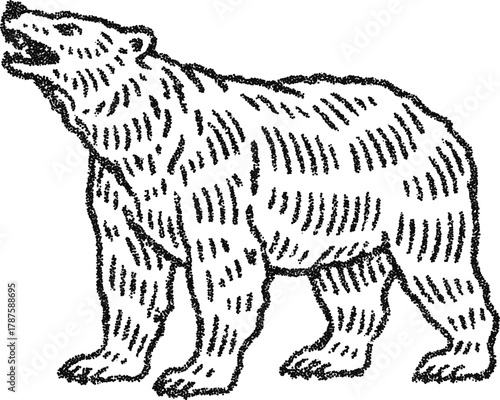 Stipple dotwork roaring polar bear in side view, vintage engraving vector illustration for wildlife poster, mascot, and outdoor brand design