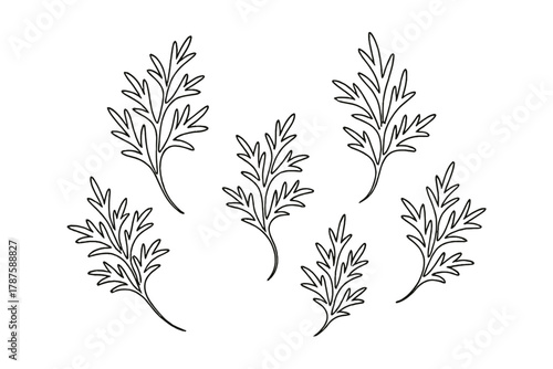 Frosted Glass Patterns. Frost on Window Glass. Minimalistic one-line drawing delicate frost patterns on glass,