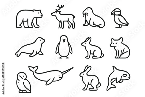 Arctic Animal Icons. Animals of the Arctic. Line outline icon set of creatures from polar regions: polar bear,