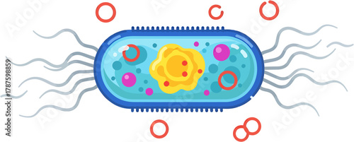 Microscopic view of a bacterium with flagella and internal organelles, illustration of microbiology and cell biology