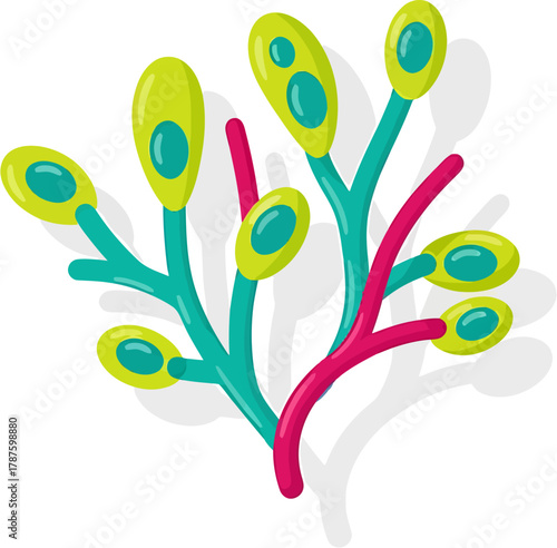 Abstract illustration of a colorful coral or plant-like organism with green oval shapes and red and blue branches, set against a subtle shadow, suggesting marine life or abstract natural forms