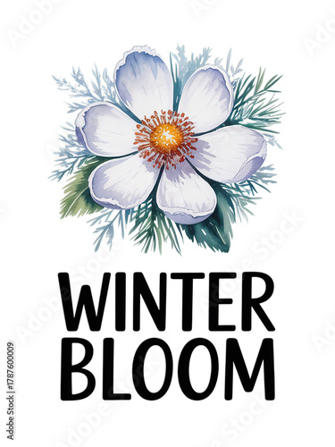 Stunning watercolor winter bloom floral design, perfect for elegant invitations, cards, and seasonal projects