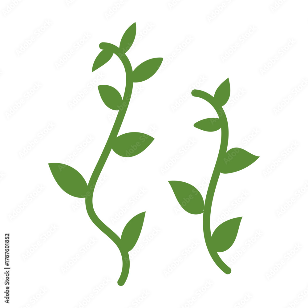 Obraz premium Illustration of Green Vines Background