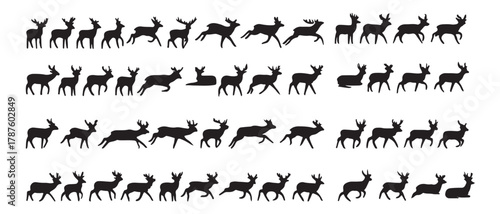 Set of Deer silhouette isolated on white background