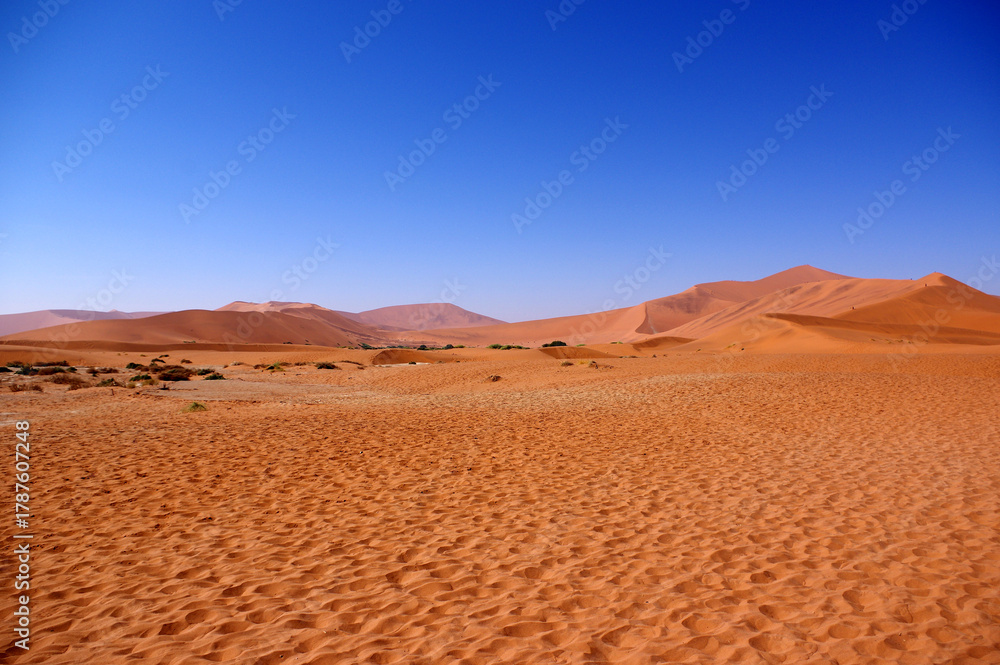Fototapeta premium désert de Sossusvlei, Namibie 