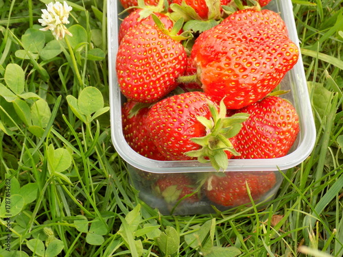 fresh strawberries in a bowl