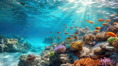 Fototapeta Naklejka Na Ścianę i Meble -  Vibrant coral reef with tropical fish in crystal clear ocean water. Underwater marine life for nature, ecosystem, environmental concept.