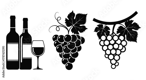 Wine bottles and grapes vector illustration for wine industry