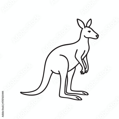 Kangaroo line drawing